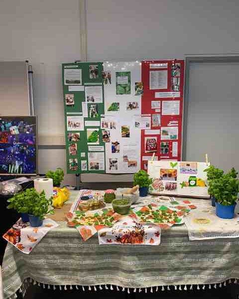 Pesto premiato – Preis für’s Pesto